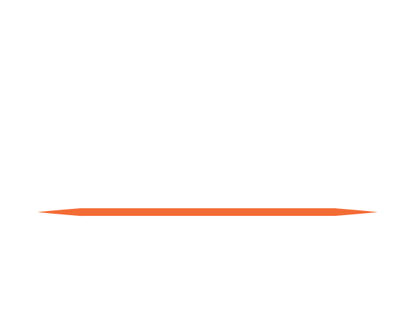 Smart Ant Universe